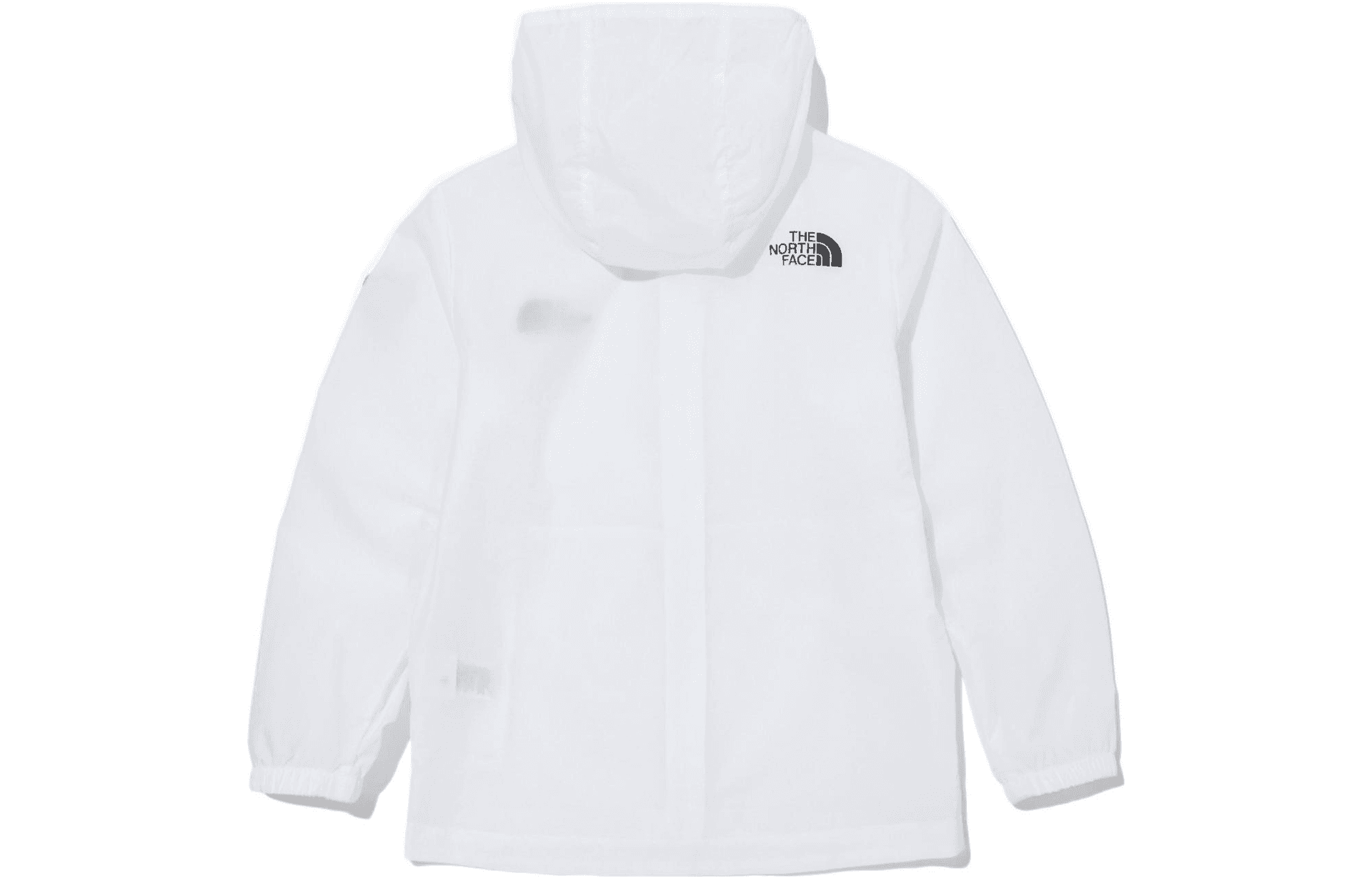THE NORTH FACE Logo - изображение 2