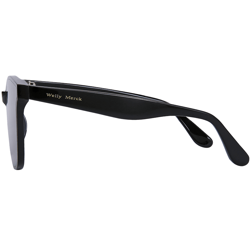 Солнцезащитные очки Welly Merck Phoebus - изображение 3