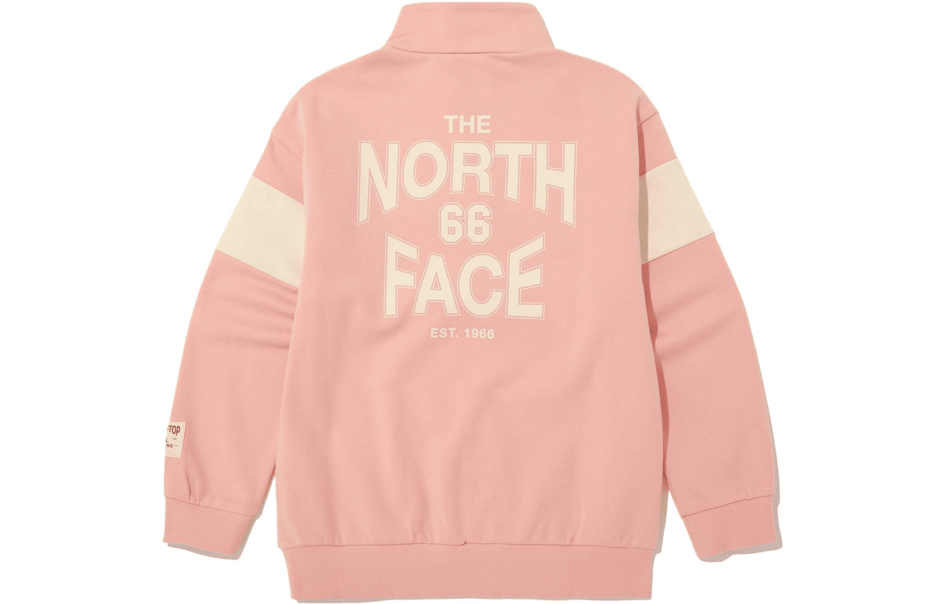 THE NORTH FACE Logo - изображение 2