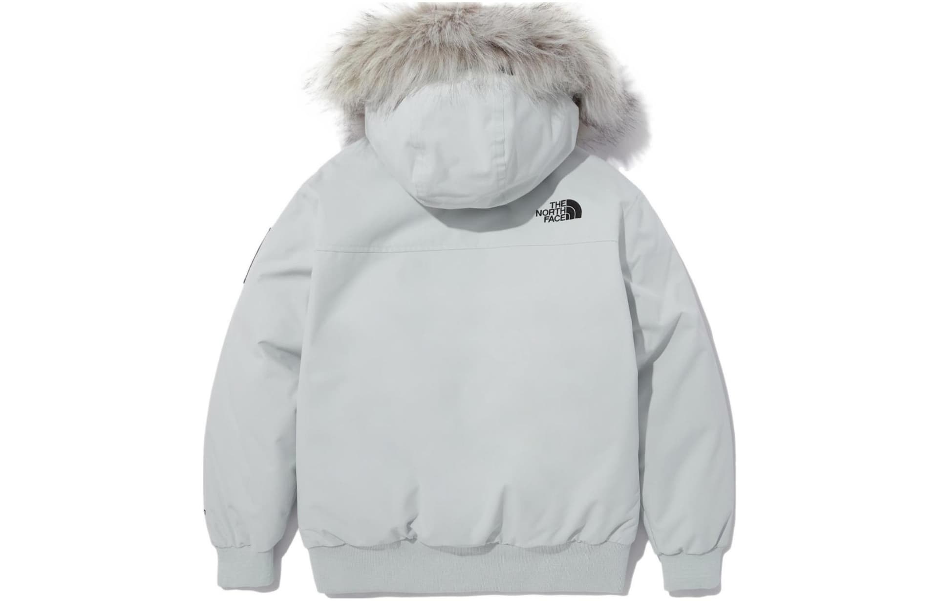 THE NORTH FACE Logo - изображение 2