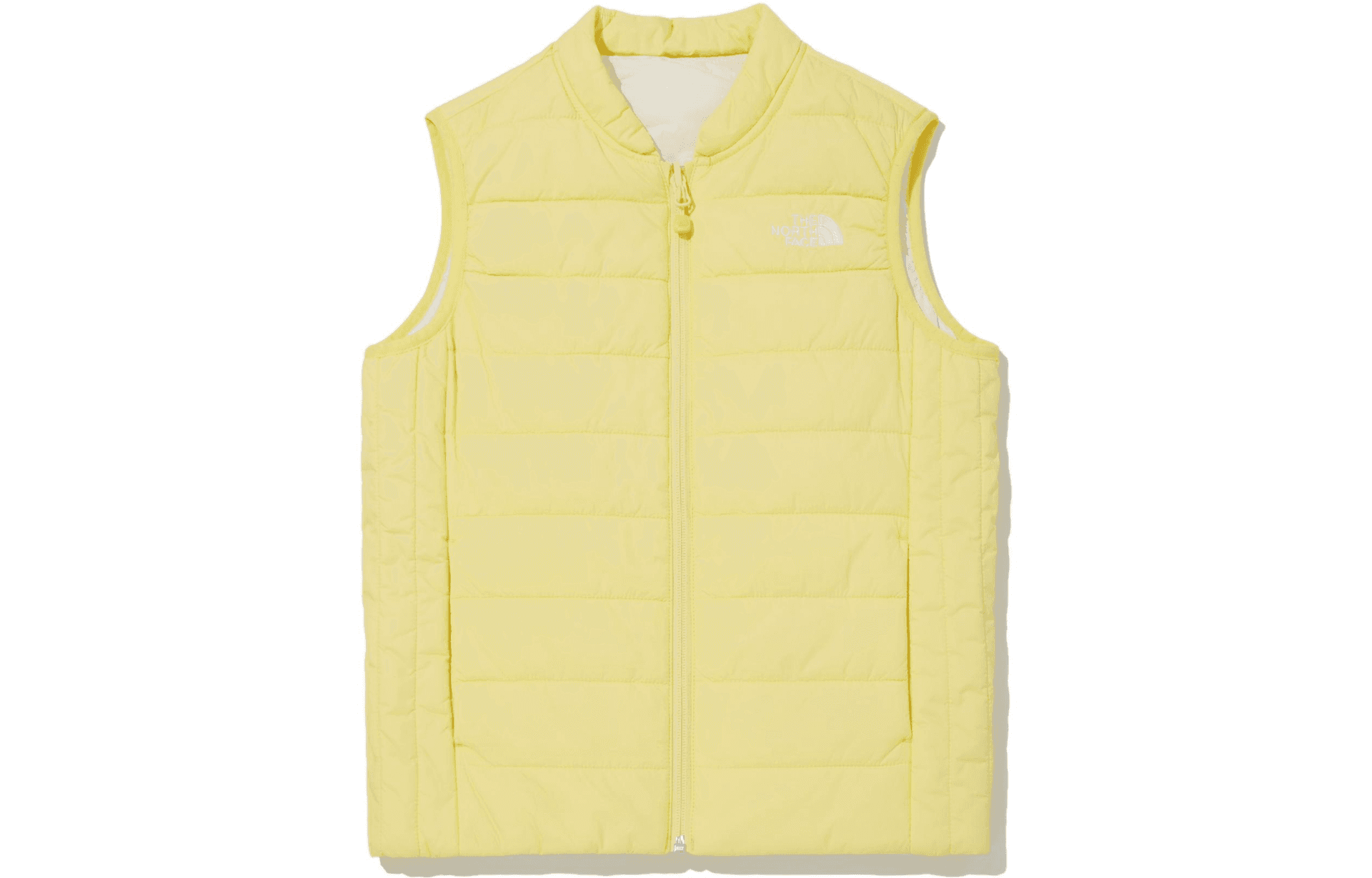 THE NORTH FACE FW22 Logo - изображение 3