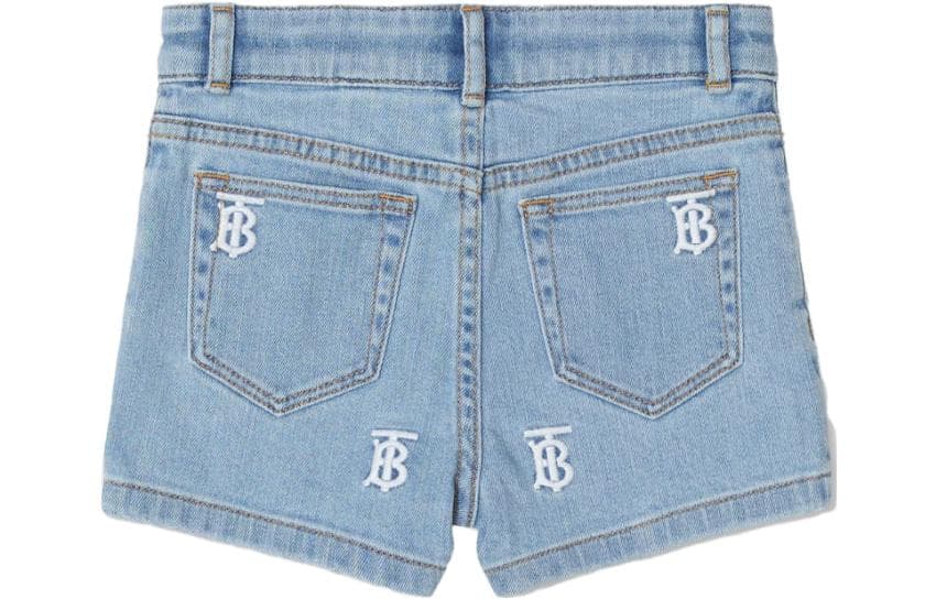 Burberry SS23 Logo - изображение 2