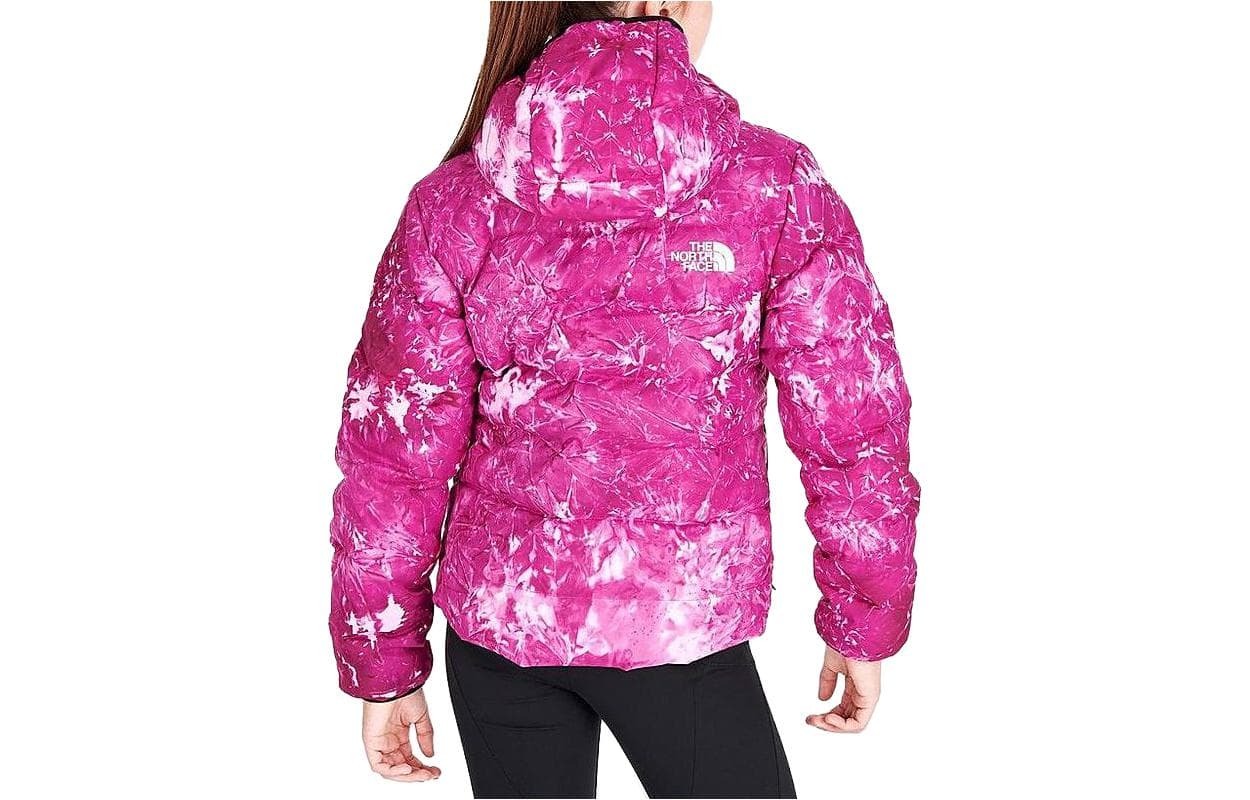 THE NORTH FACE Logo - изображение 3