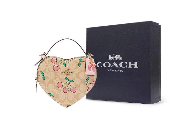 Сумка COACH Heart 16 - изображение 1
