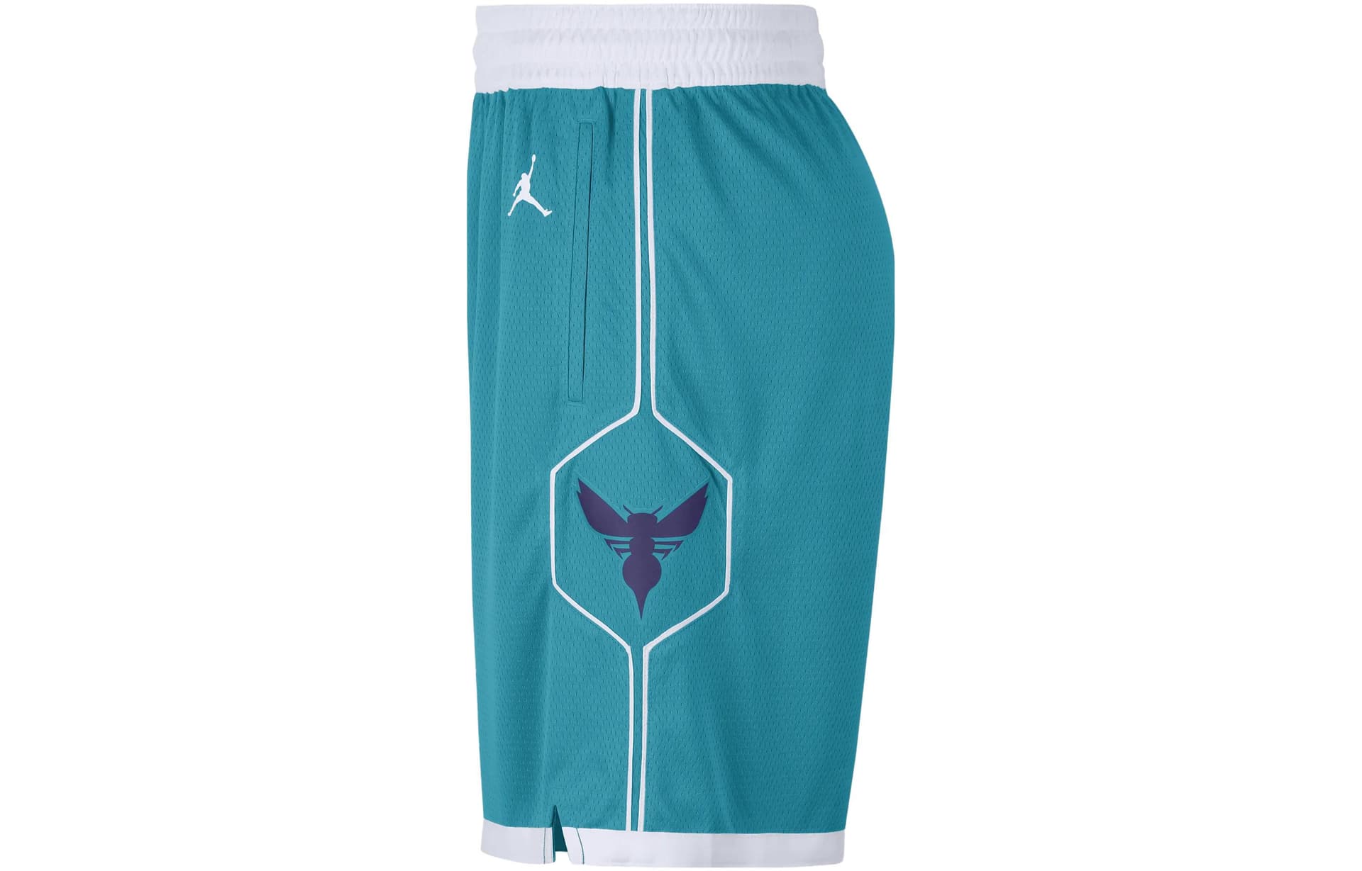 Баскетбольные шорты Jordan NBA Charlotte Hornets Shorts - изображение 3
