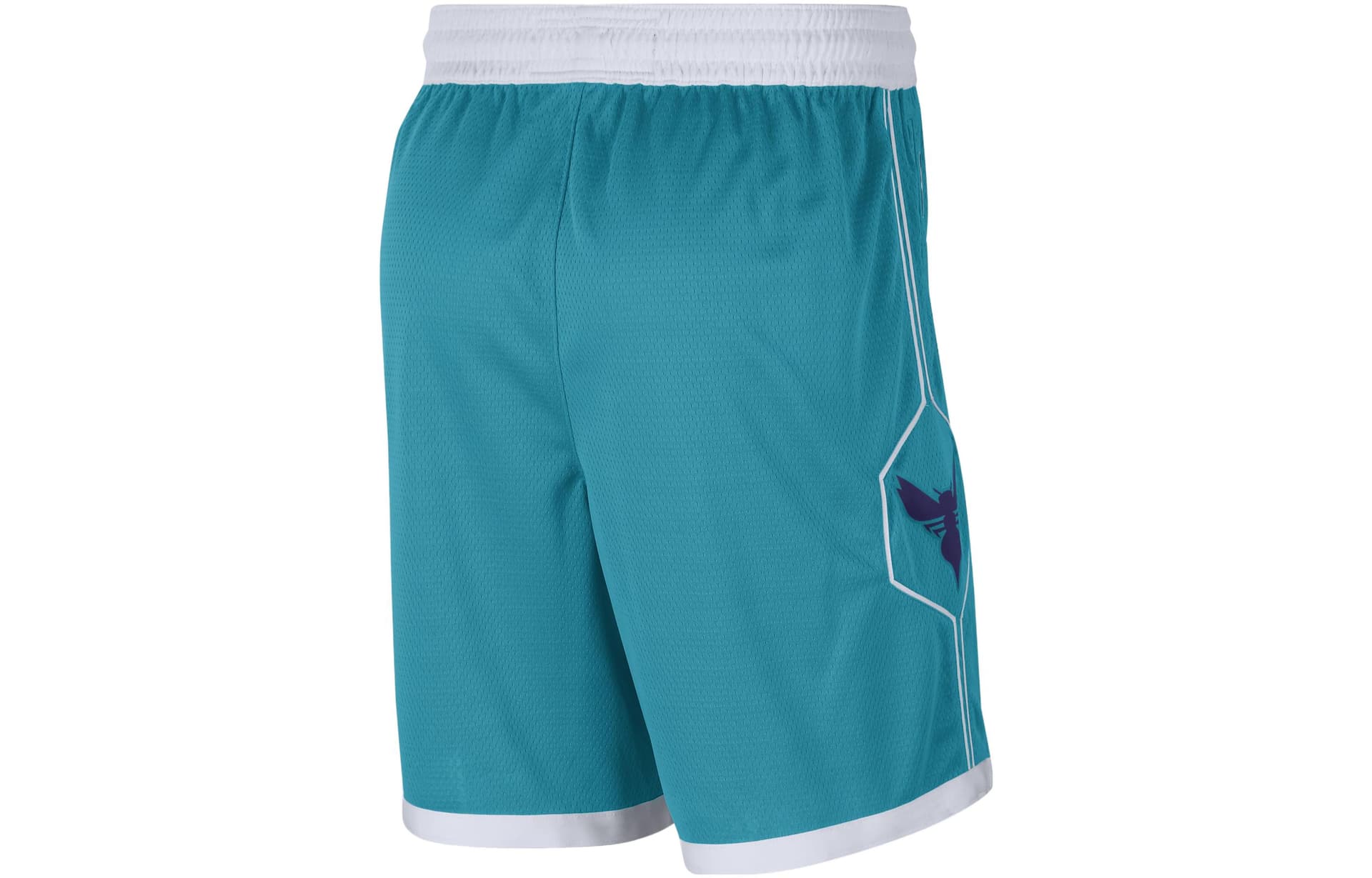 Баскетбольные шорты Jordan NBA Charlotte Hornets Shorts - изображение 2