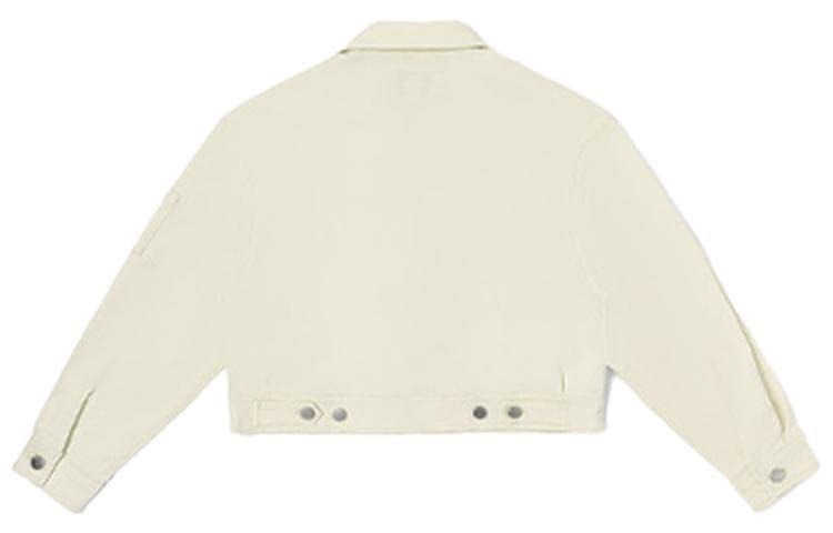 Dickies - изображение 2