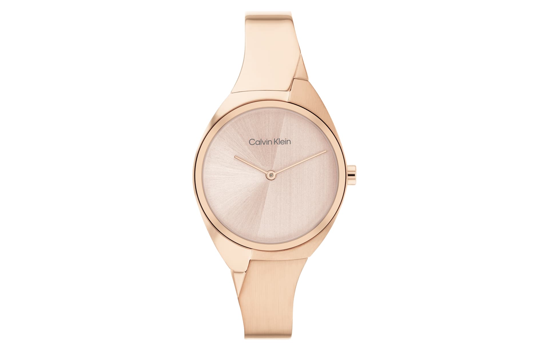 Механические часы CKCalvin Klein 25200236 - изображение 1