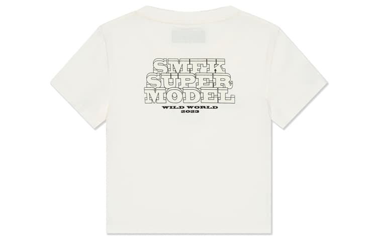SMFK Model T - изображение 2