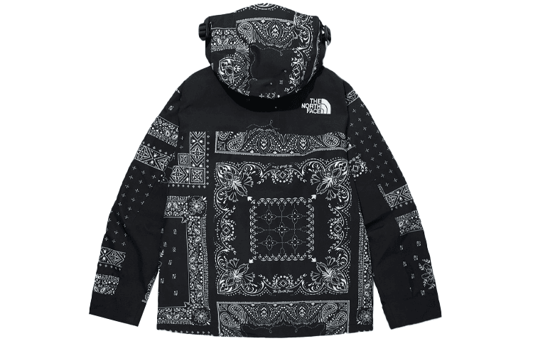 Демисезонная куртка The North Face Novelty Gtx Mountain Jacket 1990 Black - изображение 2