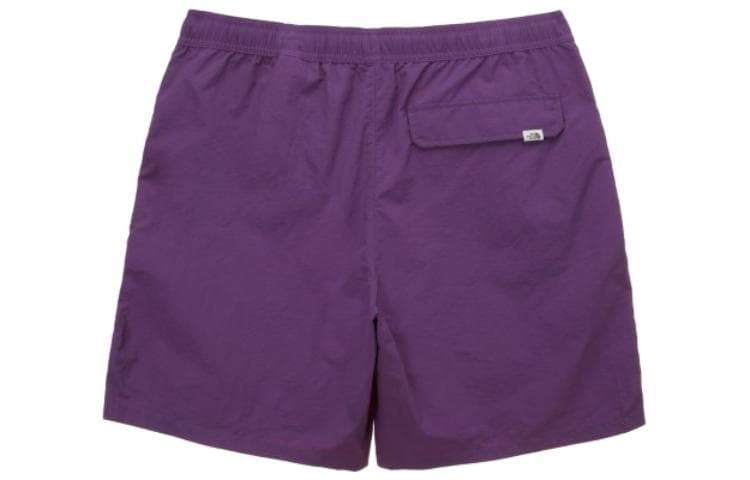 Шорты THE NORTH FACE Logo - изображение 2