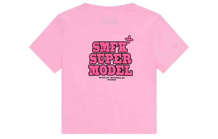 SMFK Model T - изображение 2
