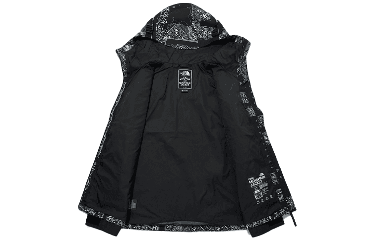 Демисезонная куртка The North Face Novelty Gtx Mountain Jacket 1990 Black - изображение 3