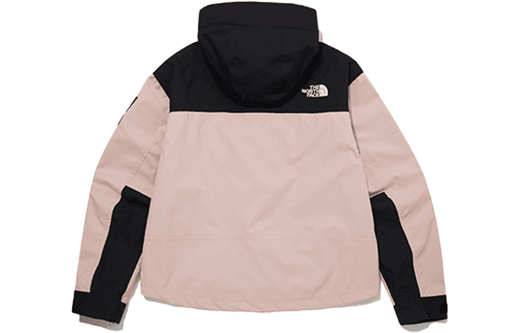 THE NORTH FACE Logo - изображение 2