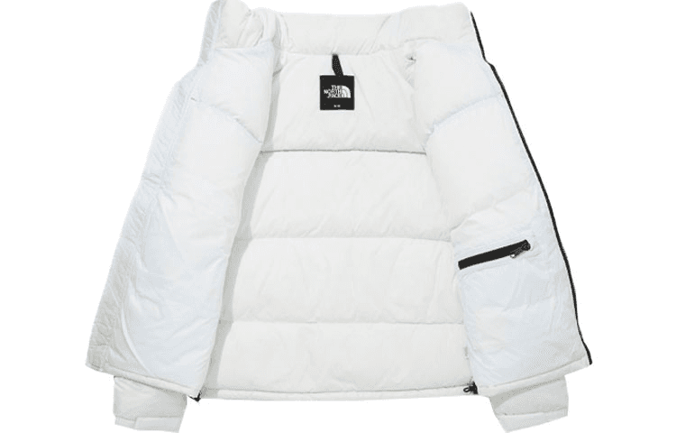 Зимняя куртка The North Face 1996 Eco Nuptse Jacket - изображение 3