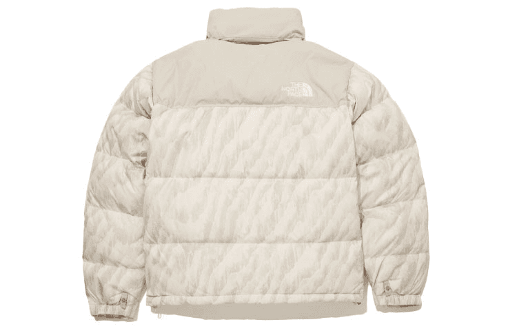 Зимняя куртка The North Face 1996 Retro Nuptse - изображение 5