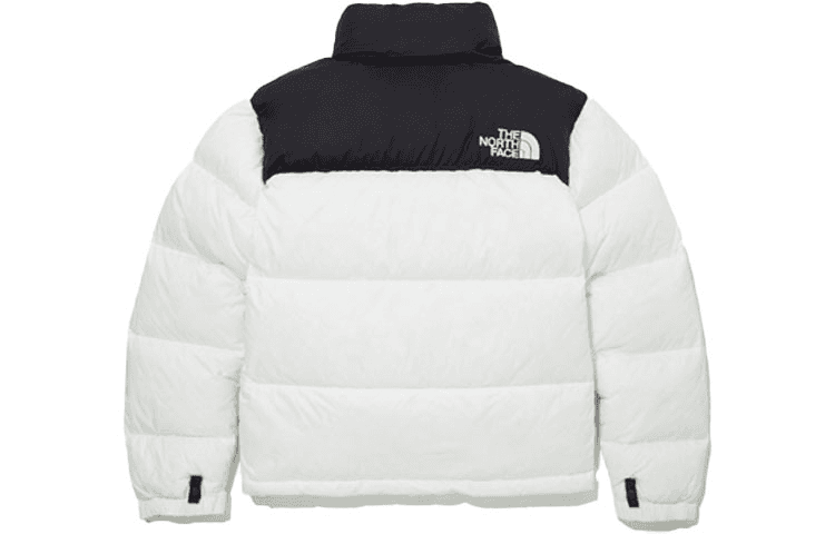 Пуховик THE NORTH FACE 1996 Eco Nuptse 1996 Logo - изображение 2