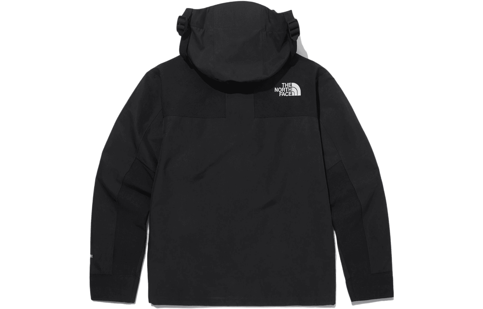Куртка The North Face Eco Gtx Logo Jacket - изображение 2