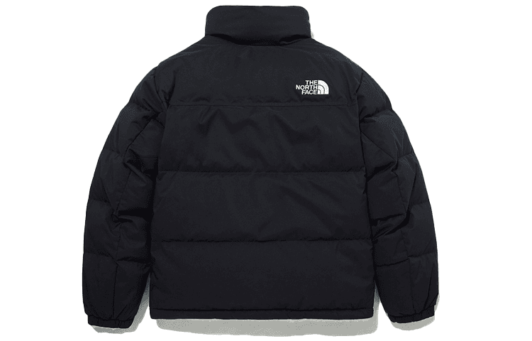Зимняя куртка пуховик The North Face - изображение 2