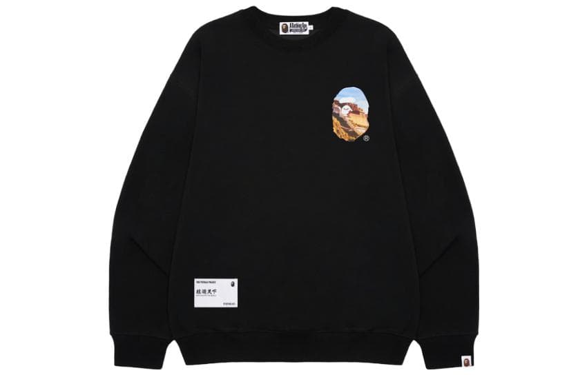 Худи BAPE SS23 - изображение 2
