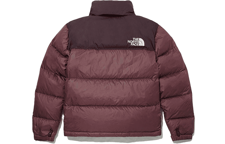 Пуховик THE NORTH FACE 1996 Eco Nuptse Logo - изображение 2