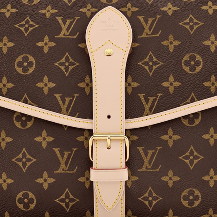 Сумка Louis Vuitton Monogram Carved Hunting Bag Brown - изображение 6