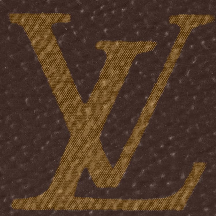 Сумка Louis Vuitton Soft Polochon Brown Monogram - изображение 7