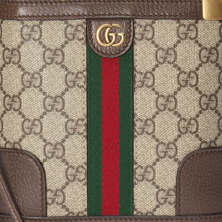 Сумка Gucci Bucket Bag Beige/Ebony - изображение 9