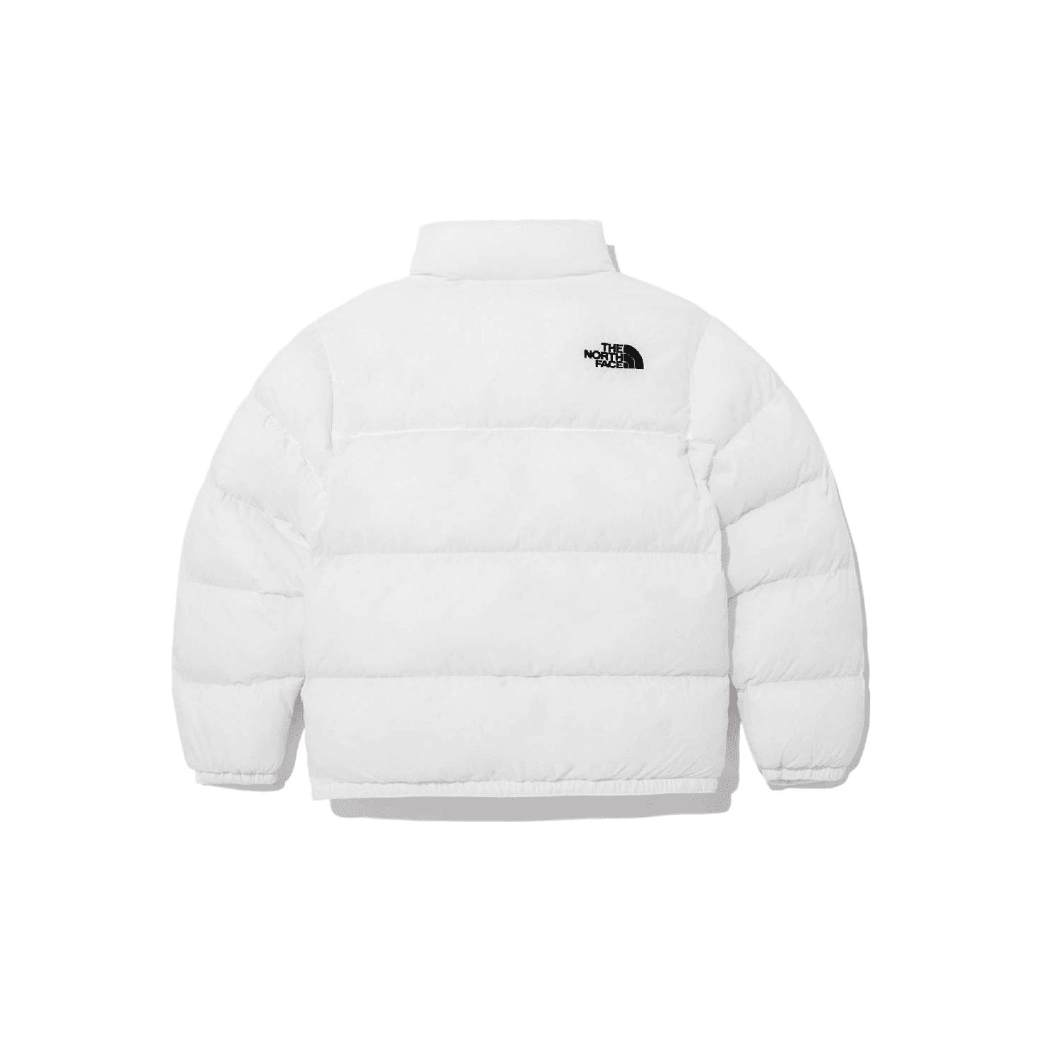 THE NORTH FACE Logo - изображение 2