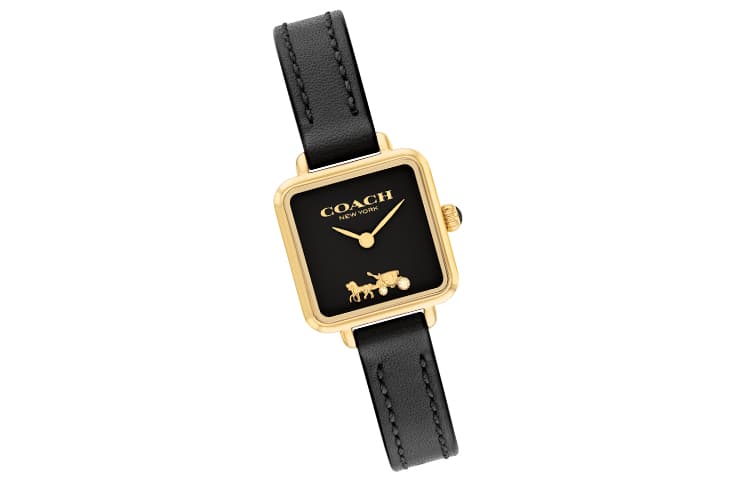Механические часы COACHCass 22mm 14504225 - изображение 4