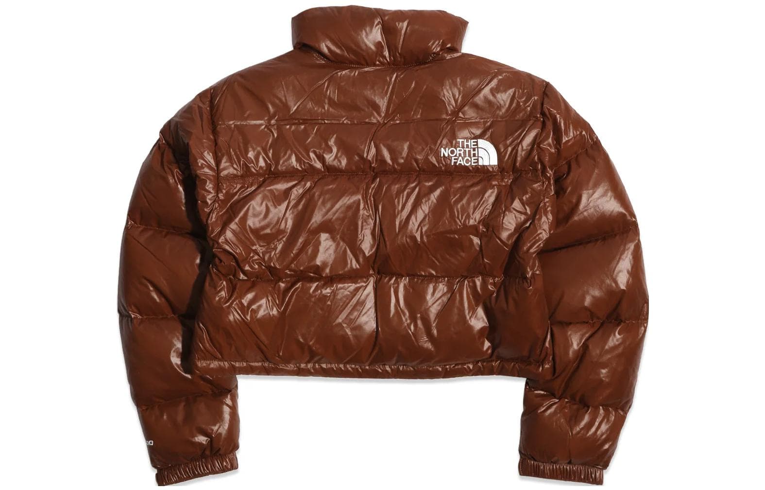 Пуховик THE NORTH FACE Logo - изображение 2