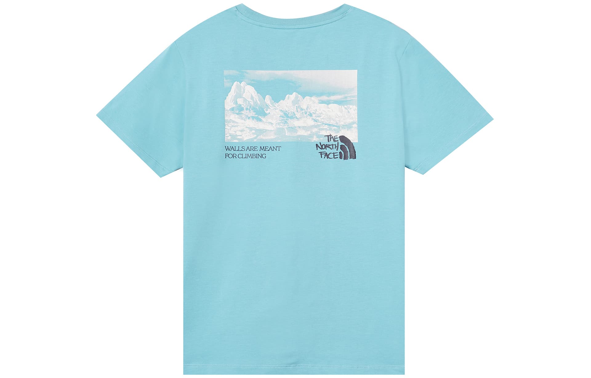 Футболка THE NORTH FACE T - изображение 2