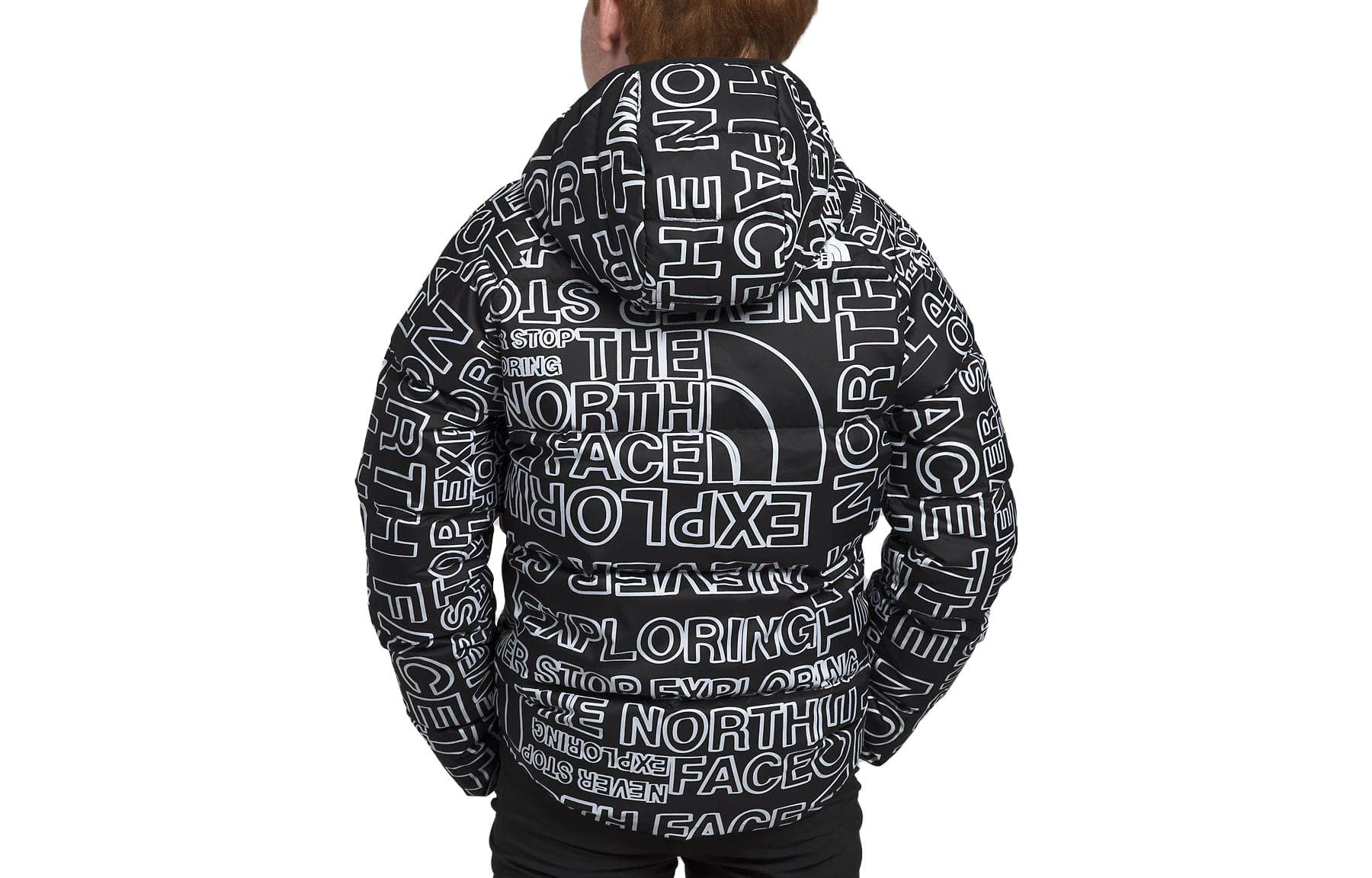 THE NORTH FACE - изображение 2