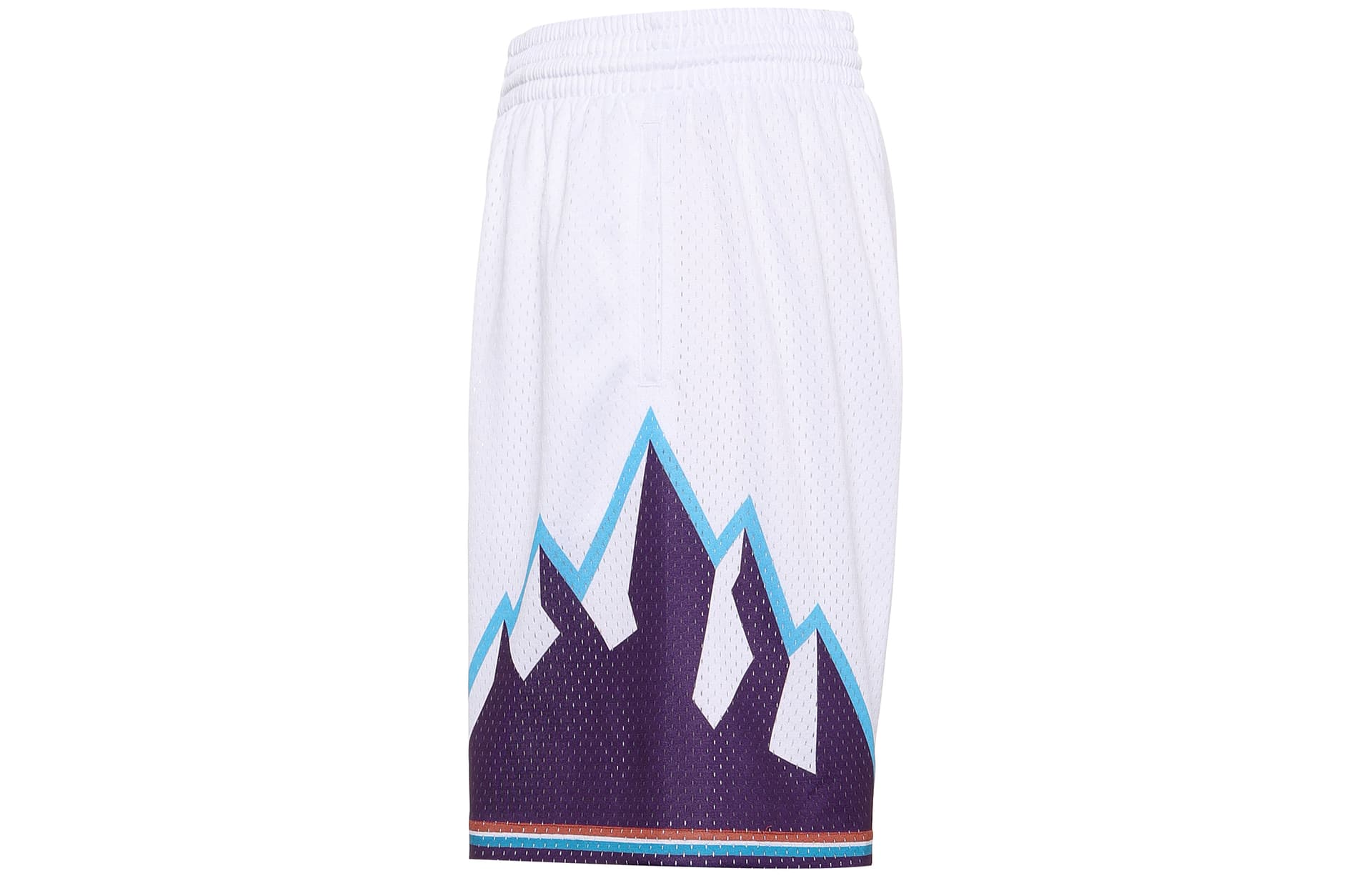 Баскетбольные шорты Mitchell Ness SW 96-97 - изображение 3
