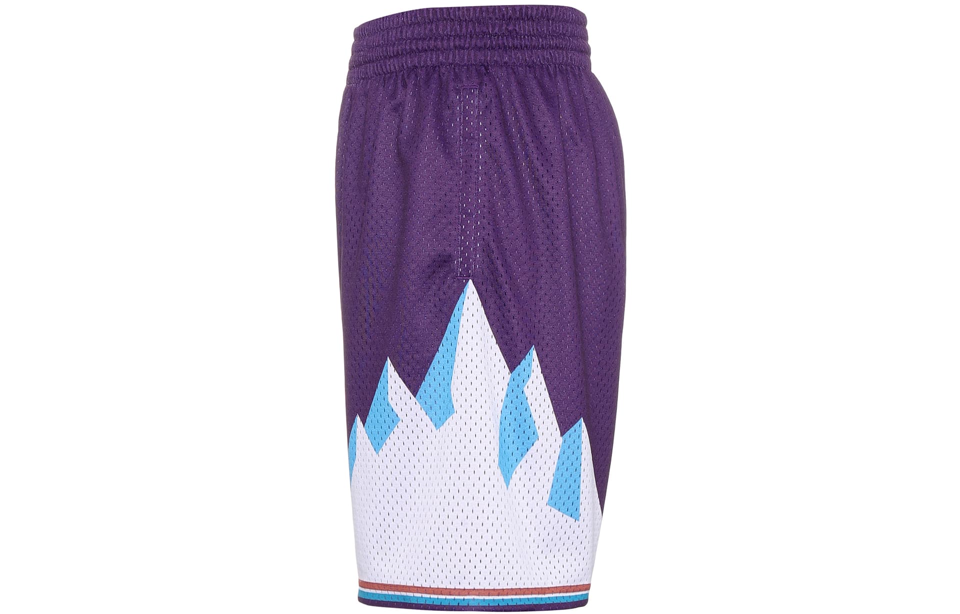 Баскетбольные шорты Mitchell Ness NBA SW 96-97 - изображение 3