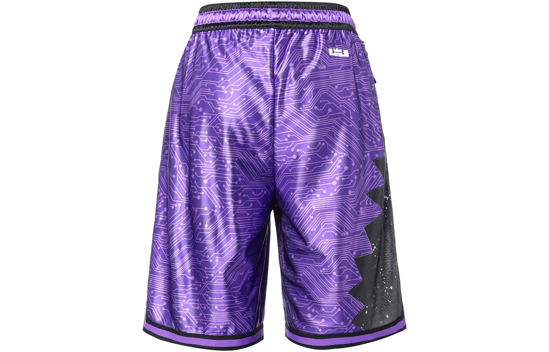 Тренировочные штаны Nike x Space Jam LeBron "Tune Squad" Shorts - изображение 3
