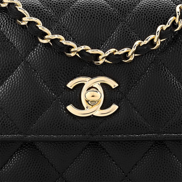 Кошелек CHANEL WOC 23s - изображение 6