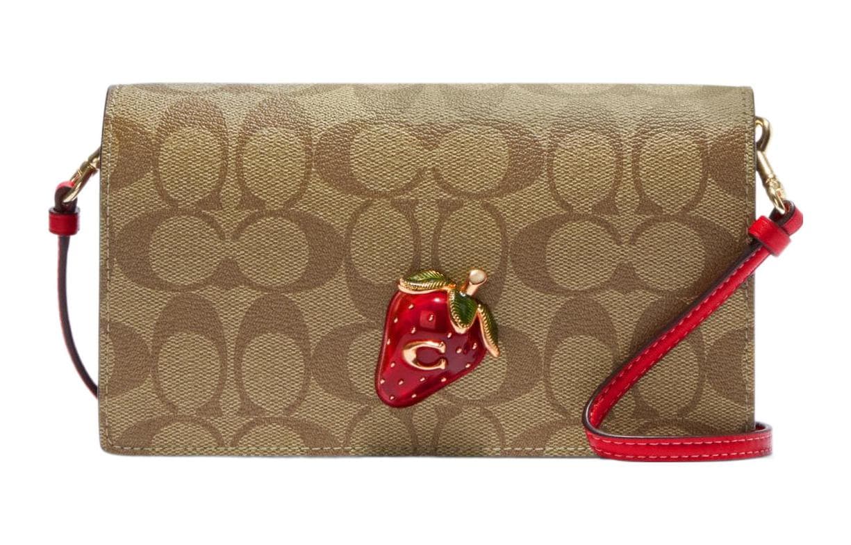 Сумка через плечо COACH Anna 20 - изображение 1