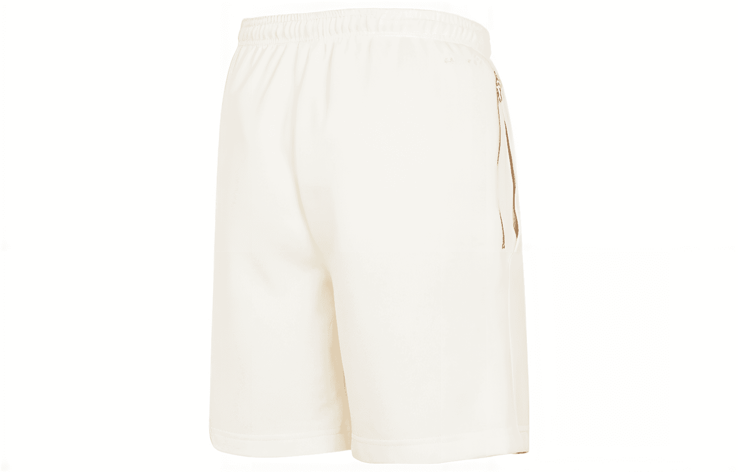 Баскетбольные шорты Nike Dri-FIT - изображение 2