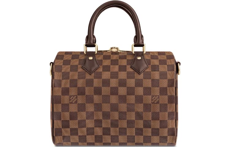 Сумка Louis Vuitton Speedy 25 - изображение 3
