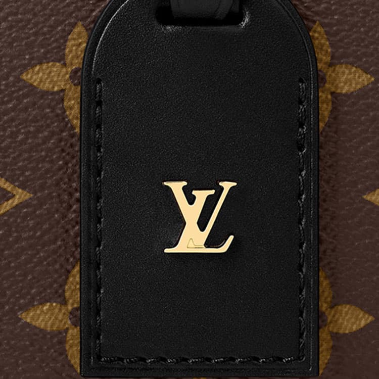 Сумка Louis Vuitton Petite Malle Souple - изображение 4