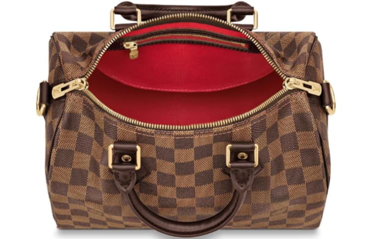 Сумка Louis Vuitton Speedy 25 - изображение 4