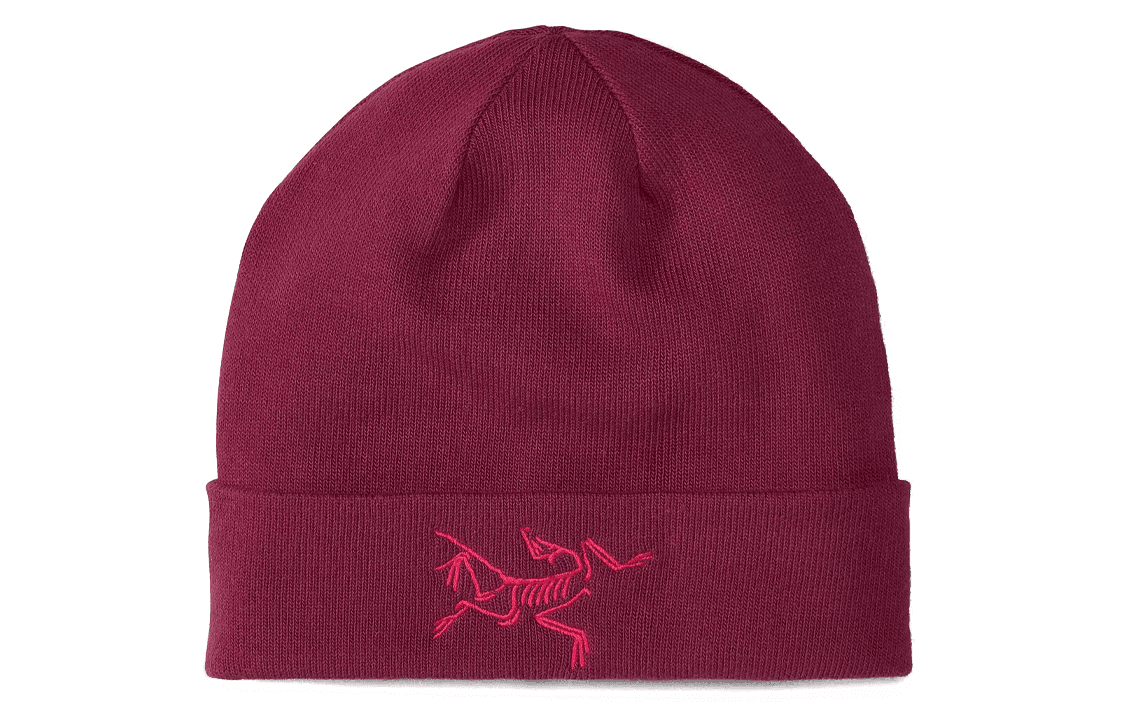 Шапка Arcteryx logo Bordeaux - изображение 1