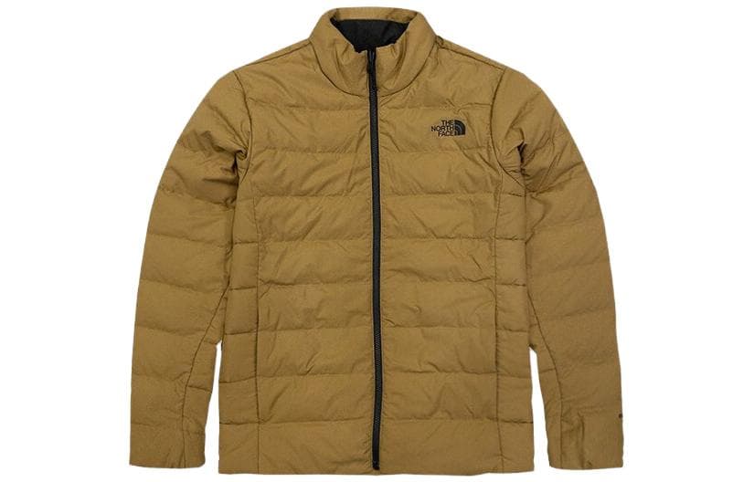 Демисезонная куртка THE NORTH FACE Logo - изображение 2