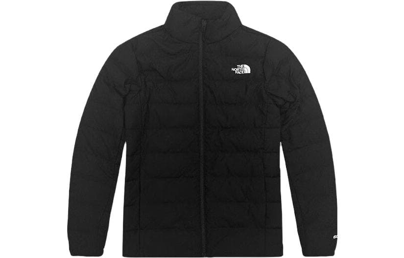 Демисезонная куртка THE NORTH FACE Logo - изображение 2