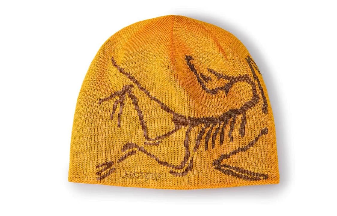 Шапка Arcteryx Logo EdzizaRelic - изображение 1