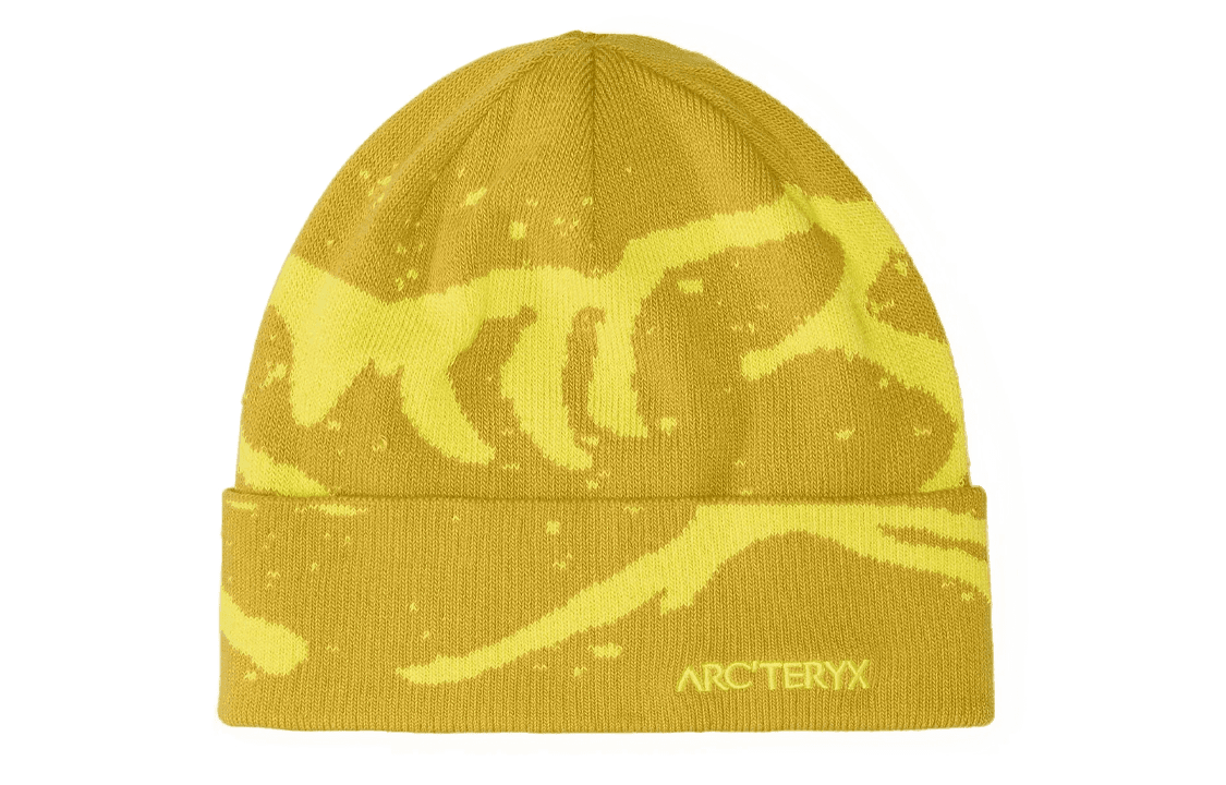 Шапка Arcteryx Logo - изображение 1