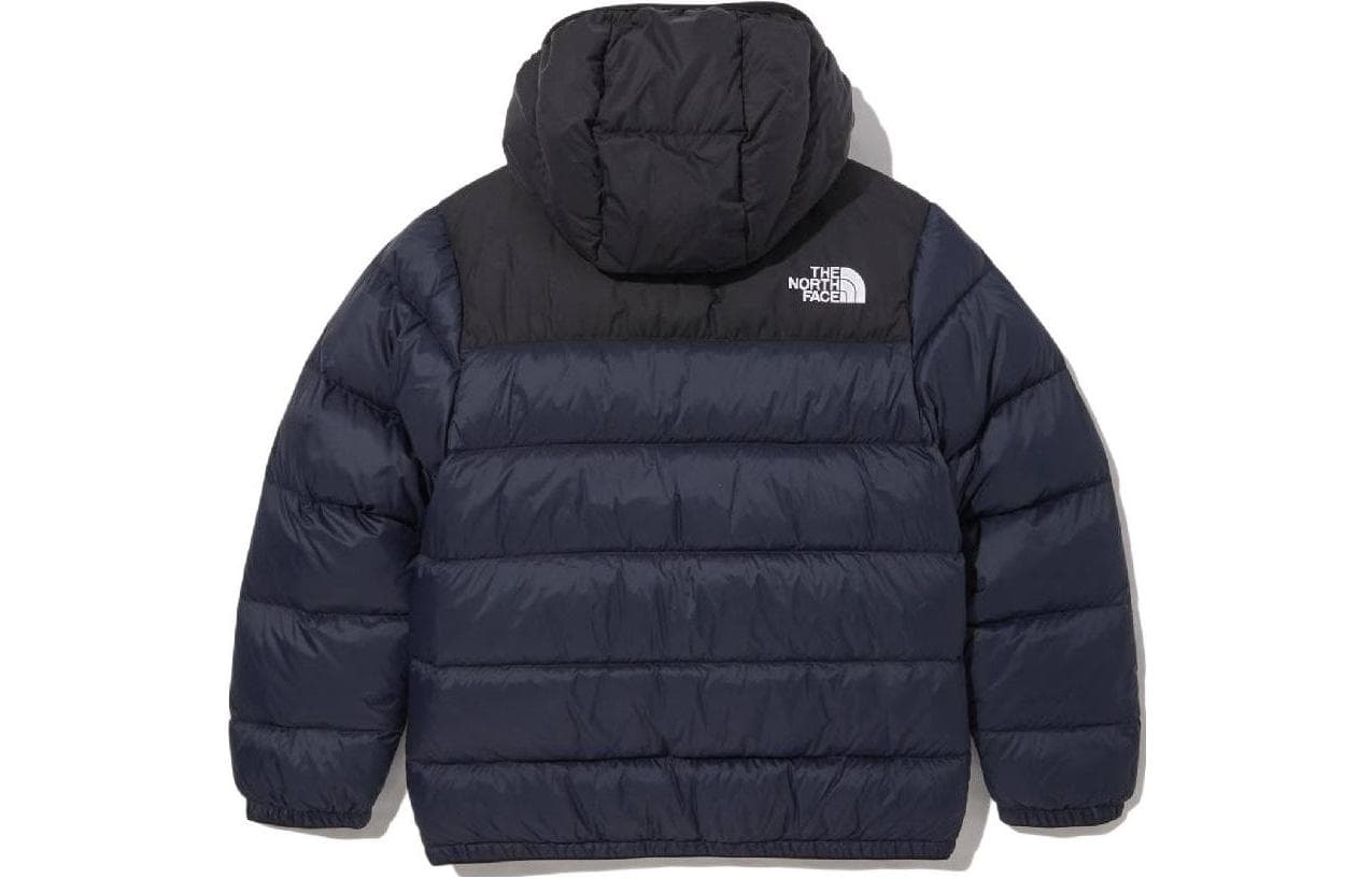THE NORTH FACE Logo - изображение 2