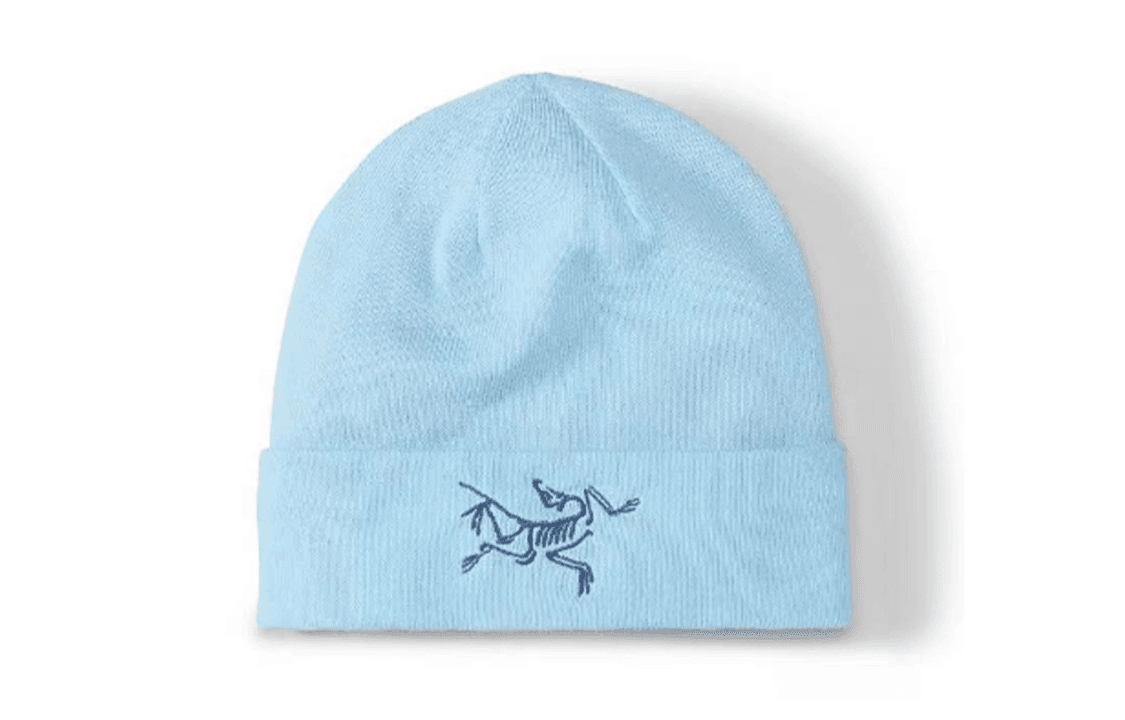 Шапка Arcteryx Logo - изображение 1