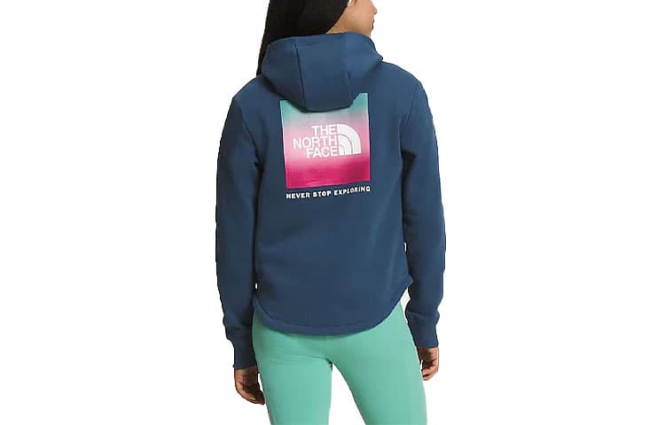 THE NORTH FACE Logo - изображение 2